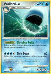 Wailord - 30/106 - Rare Reverse Holo