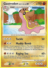 Gastrodon West Sea - 22/111 - Rare