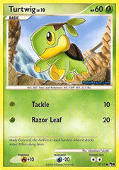 Turtwig - 17/17 - Common