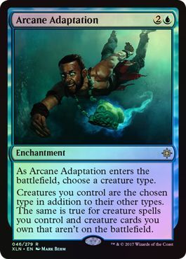 Arcane Adaption - 46/279 - Rare FOIL