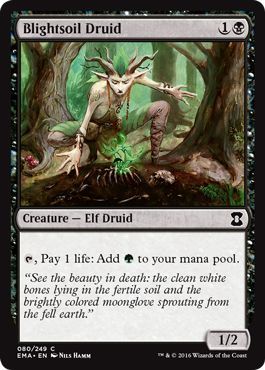Blightsoil Druid - 080/249 - Common