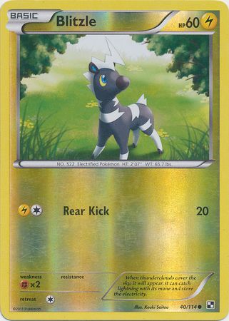 Blitzle - 40/114 - Common Reverse Holo