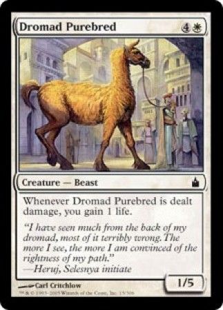 Dromad Purebred - 15/306 - Common