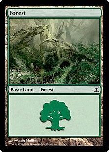 Forest - 300/301 - Common Land