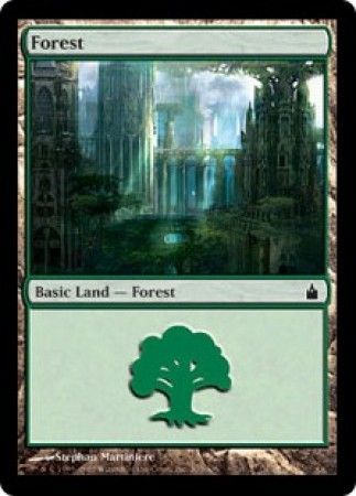 Forest - 303/306 - Common Land