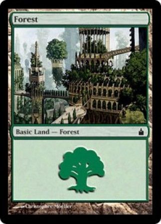 Forest - 304/306 - Common Land