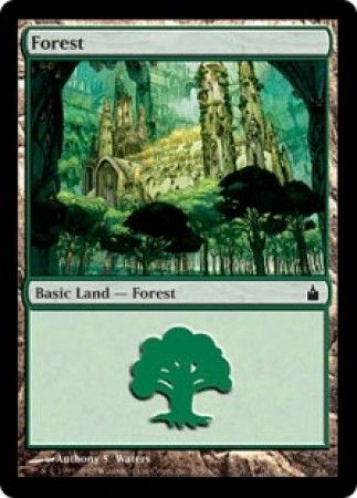 Forest - 305/306 - Common Land