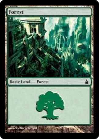 Forest - 306/306 - Common Land