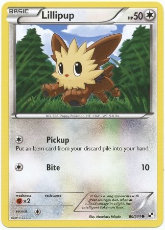 Lillipup - 80/114 - Common