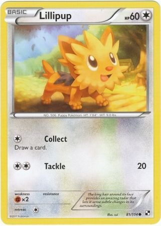 Lillipup - 81/114 - Common