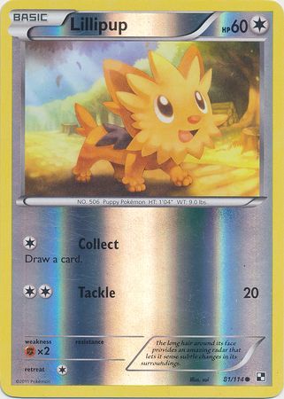 Lillipup - 81/114 - Common Reverse Holo