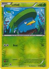 Lotad - 10/160 - Common Reverse Holo