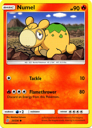 Numel - 23/236 - Common