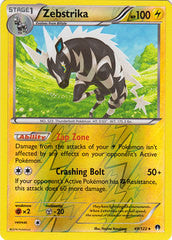 Zebstrika - 49/122 - Rare Reverse Holo